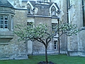 Cambridge 5